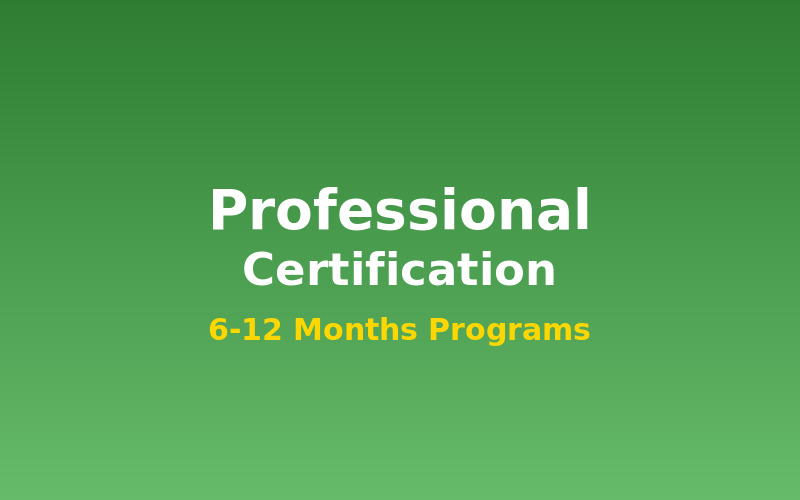 Professional Certification